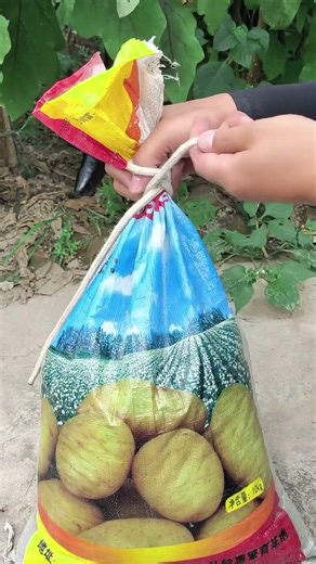 This way of tying the bag opening is very secure