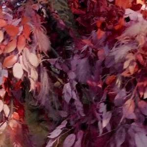 Mother Aughra has seen the thaw of many winters, and she is still in awe of the beauty of the new spring. #DarkCrystal #FirstDayOfSpring | The Jim Henson Company