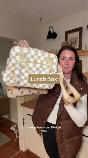 Cute and Functional Insulated Lunchbox for Work