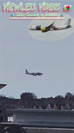 Rugby livery steals the show 🏉 Vueling A320 EC-LVU at Cardiff #aviation #planespotting #cwl