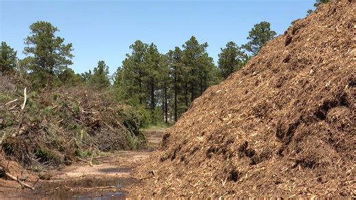 Black Forest slash and mulch site facing threat of closure