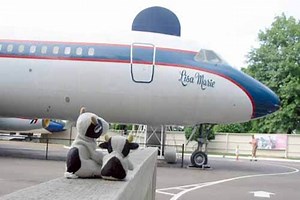 Jet owned by Elvis Presley to be auctioned after sitting 30 years