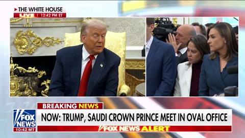 Trump scolds ABC News reporter's questions to Saudi crown prince