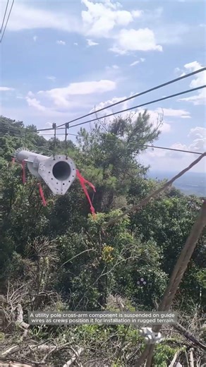 Cable-Guided Installation of Power Line Hardware in Difficult Terrain