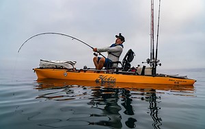 61K views · 797 reactions | Spotted eating the angler’s bait from 5 feet away, this yellowtail sure put up a fight! Being able to standup and sight fish is one of the many advantages of the Pro Angler. Learn more here: https://www.hobie.com/kayaks/mirage-pro-angler-14/ [sponsored] | Sport Fishing Magazine | Facebook