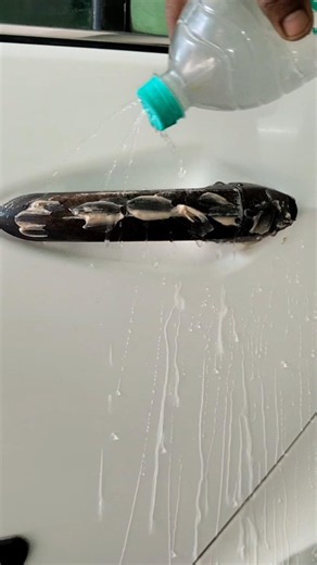 Tata zest door handle Chrome cleaning work #shortvideo 👍