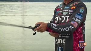 Try Bass University today and get 30 FREE days! -- We offer 700 in-depth bass fishing video training courses by top pros, all in one place with unlimited access. Click here and watch some of our free sample training videos! | Bass University