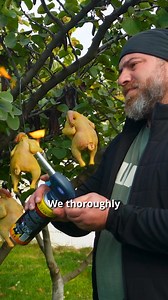 Singeing a chicken over an open fire, infusing it with a fire-kissed aroma and roasting it under a barrel to perfection. #OutdoorCooking #FireRoastedChicken #UniqueRecipe #Cooking | Fire Up, Bro