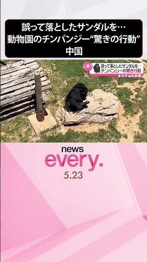 【まさか】誤って落としたサンダルを…動物園のチンパンジー“驚きの行動” 中国 #shorts