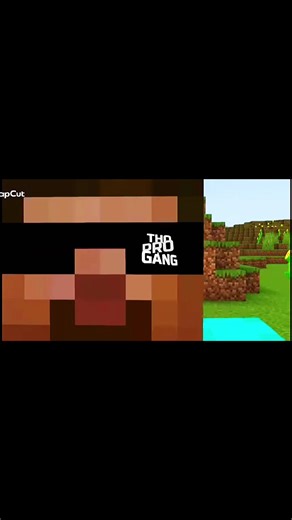 Training Like a Parasite in Minecraft for 24 Hours