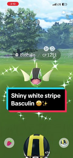 LET’S GO!!! Shiny white stripe Basculin! ✨ #pokemongotour #PokemonGO #Pokemon #pokemontiktok #pokemongotrainer #pokemongoespañol #pokemongodaily #shinypokemon #fleeceking #pokemoncommunity #pokemongoevent