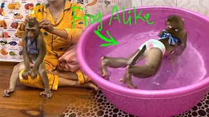 684K views · 7.9K reactions | Frog Alike For The New Swimsuit For Judee | The Judy Family | Facebook