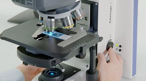 1.1K views · 56 reactions | Imagine being able to acquire overlayed multichannel fluorescence images complete with the right scaling using just your microscope - without a PC. In this second video of our how-to video series of the Smart Microscopy concept, we show how it's done. Discover ZEISS Smart Microscopy in more detail here: https://zeiss.ly/f-smart-microscopy #smartmicroscopy #microscopy | ZEISS Microscopy | Facebook