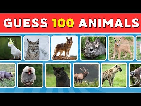 Can You Guess These 100 Animals? 🐾 The Ultimate Animal Quiz Challenge!