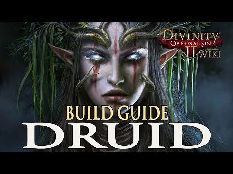 Divinity Original Sin 2 Builds - Druid (Mage/Summoner)