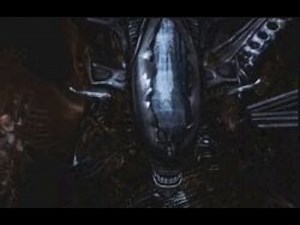 AVP: Specimen 6 molt into a queen