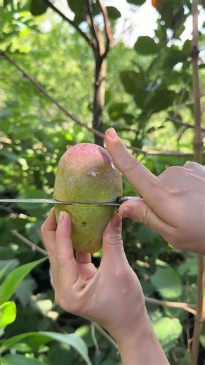 Watch This Mango Split Like Butter