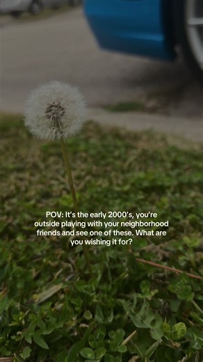 Nostalgic #fyp #nostalgia #dandilion #wish #2000s