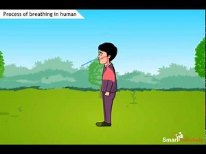 NCERT CBSE Class 7 Science Chapter 10 Respiration in Organisms Part 2