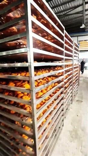 #fcnfm Energy-Saving Drying Room — Lower Costs, Faster Dry Times