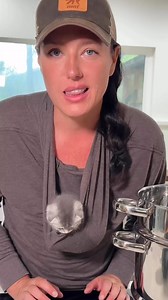 Distillation #distillation #distillingwater #cleanwater #waterpurification | The Zen Hen and The Honey Bee Farm