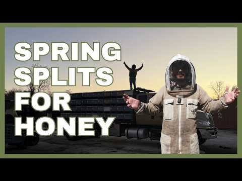 How We Turn $80,000 in Bees into a Honey Crop