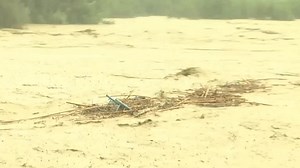 Bitter harvest for Spanish farmers as floods swamp fields
