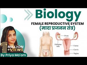 female reproductive system/Biology Crash Course/General Science for Competitive Exams/gs priya mam