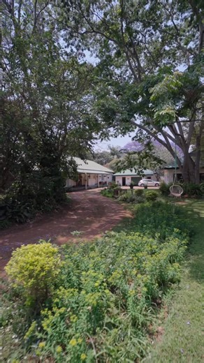 🏡 Spacious 6-Bedroom Family Home – Opposite Chisipite Senior School 📍 Chisipite, Harare North 💵 $750,000 | 1 Acre (4,047m²) ✨ Main House: 6 Bedrooms | 3 Bathrooms (Main Ensuite) Lounge, Dining Room & Fitted Kitchen Ensuite Cottage adjoined to Garage (ideal for guests/extended family) 🌿 Outdoors: Lush Garden & Swimming Pool Great space for entertaining & relaxation 🔑 Extras: Staff Quarters & Home Office/Study 4 Lock-up Garages Ample Parking Fireplace & Wooden Floors Prolific Borehole Water T