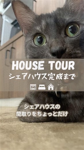 シェアハウスの間取りを載せてみたよ🐈‍⬛#シェアハウス #リフォーム #cat #loft #ねこ #世田谷 #東京 #リノベーション #間取り #vlog #ロフト