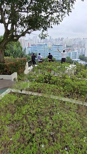 Macaw Mavericks on TikTok