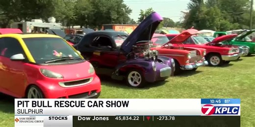 Animal rescue organization holds car show to support pit bull adoption rates