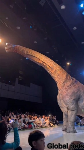 Ultimate amazing animals Transformation. Episode no 33. #horse #panda #dinosaur