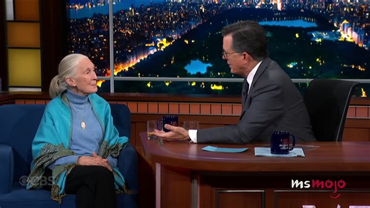 10 celebrities' final messages to the world before dying