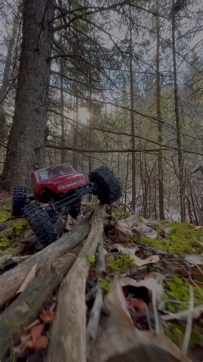 1/18 RedCat Apex remote control crawler