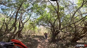 1.3K views · 25 reactions | Some of the weekends singletrack Slake Enduro | Just Ride SA | Facebook