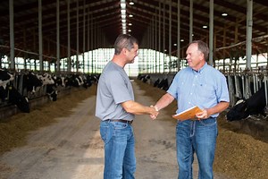 Hoof Supervisor - Hoof health monitoring system for dairy farms