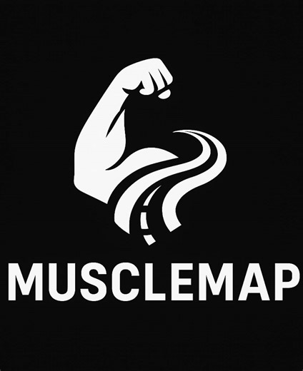 المدرب حمزة بو علي يستهدف العضلة ذات راسين بتمرينين ويشرح ميكانيزم عمل العضلة لاستهداف افضل و ادق و اداء من مستوى احترافي #fyp #foryou #bodybuilding #biceps #musclesmap #bicepsexercises #bodybuilders #viral