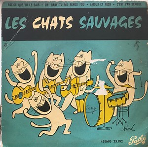 Les Chats Sauvages - Est-Ce Que Tu Le Sais