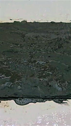 Effective Carpet Cleaning Techniques for a Fresh Home