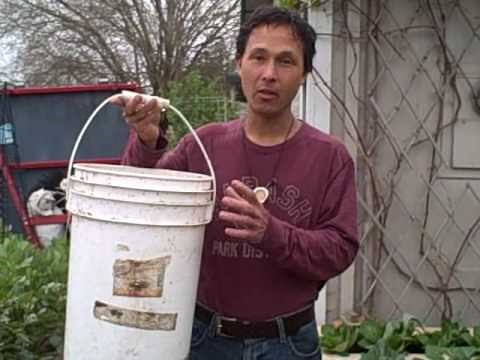 The Many Uses of a 5 Gallon Plastic Bucket in the Garden