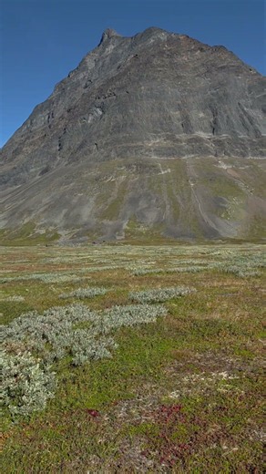 Some People Have a Five-Year Plan… 🥾⛰️