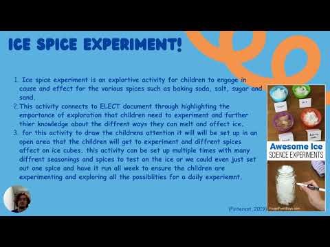 Phase 2 the project approach assignment