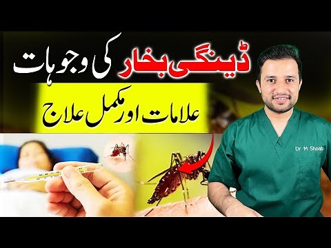 How to Treat Dengue at Home Safely (and When to See a Doctor)
