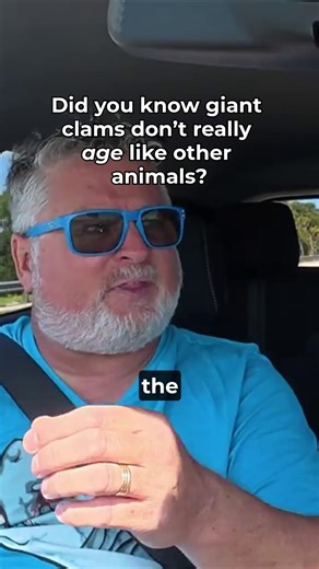 Did you know giant clams don’t really age like other animals? #GiantClams #MarineLife #OceanFacts #reeftank | SaltwaterAquarium.com