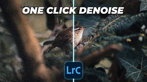 Today, we’re looking at how you can clean up your images by removing the noise, but retaining the detail in your shots in just ‘one click’! We’re diving back into Lightroom to do it, and it might help when you’ve had to bump up the ISO in certain shots. Also, if anyone knows what species of bird we’ve featured in this video – we’d love to know – pop it in the comments  | Park Cameras | Facebook