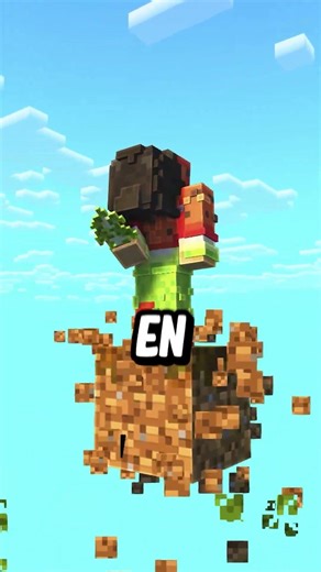 Le Problème avec les Serveur Minecraft.. #shorts