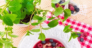 Soupe de fruits rouges au sirop d’hibiscus