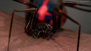 30K views · 315 reactions | The Bite That Changed Everything ️ #SpiderMan | Filmisnow | Facebook