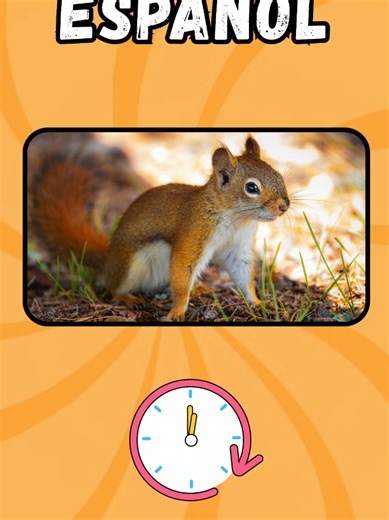 Learn Cute Animal Vocabulary in Spanish